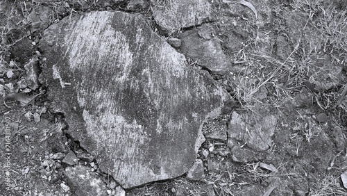 Cuadro en lienzo Black and white close-up of weathered stone slabs with rough surfaces, fine grooves, cracks, gravel, soil, and dry grass forming a natural outdoor texture