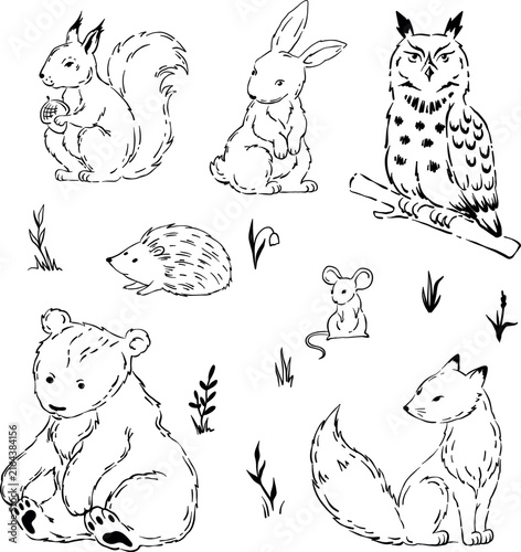 Black-and-white cartoon-style illustrations of seven forest animals — squirrel, fox, bear, owl, rabbit, hedgehog, and mouse — with simple plant elements on a plain background. Vector illustration