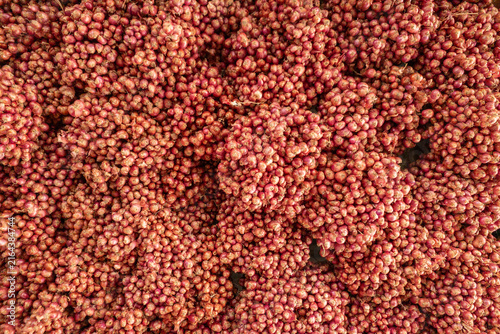 Fresh red shallots tied in dense bunches create a textured, colorful display at a market stall, evoking harvest, culinary ingredients, rustic produce and natural farm-to-table cooking supplies.