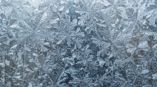 Detailed ice patterns formed on a glass surface
