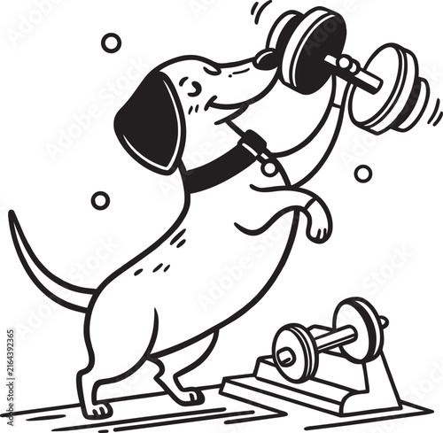 Hand Drawn Dachshund Weightlifting Dog - Funny Fitness Cartoon Illustration for Gym, Sport and Motivation Design