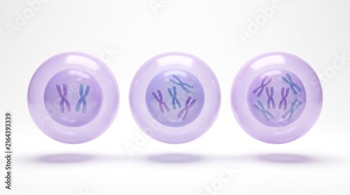 Polyploidy extra chromosome sets 3D illustration white background
