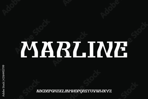 Display alphabet font vector design suitable for headline, poster, logo, magazine and many more