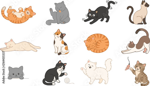 Set of various hand drawn cat illustrations in different poses and styles for creative design projects