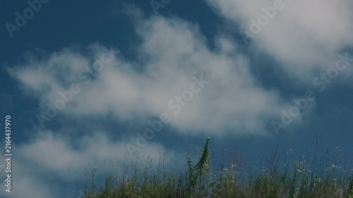 Grass swaying in the wind against a blue sky with drifting clouds

