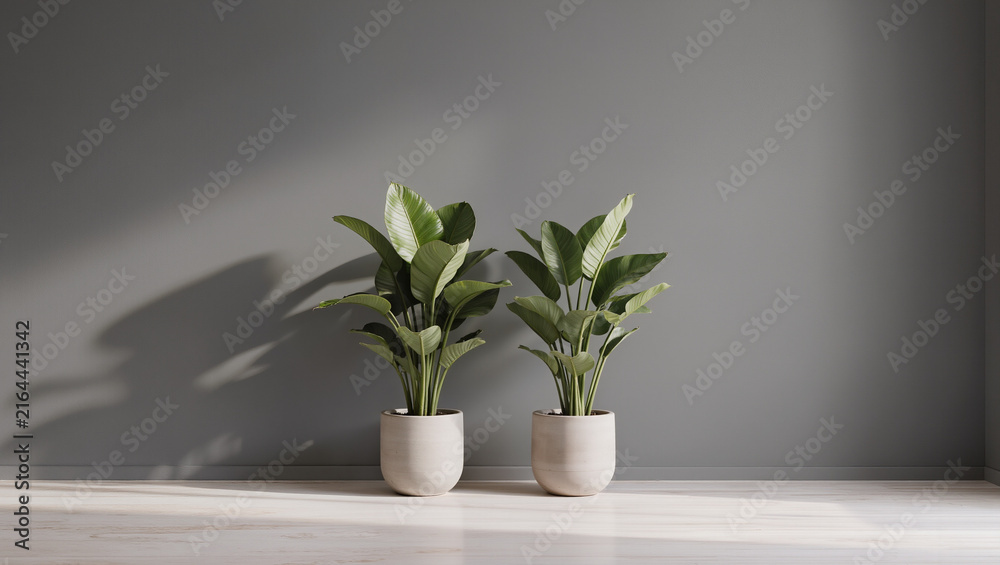 Fototapeta premium Two Green Potted Plants on Minimalist Grey Wall with Sunlight Shadows