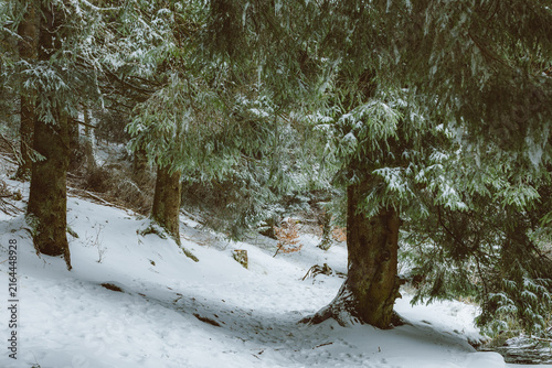Photography Winter landscape, evoking outdoor recreation, wellness, fresh air and a relaxing escape into nature away from the busy urban environment