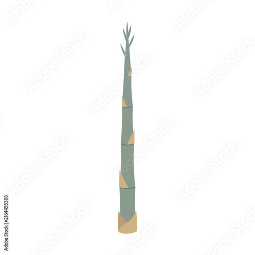 Bamboo shoot icon showing a fresh plant on white background