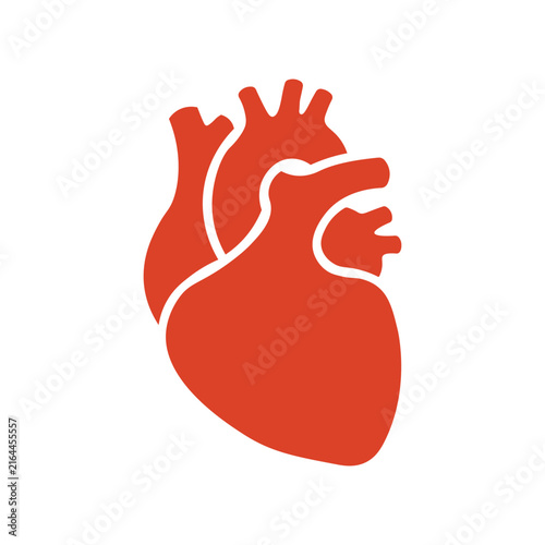 Heart icon representing human organ or love on white background