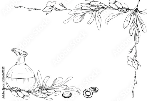 Botanical frame of olive oil decanter, jug and branch with ripe fruit, leaves. Pencil hand drawn illustration. Mediterranean branding, cookbook chapters, organic product labels, hospitality design.