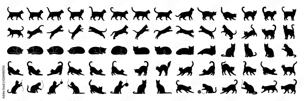 Obraz premium Black cat silhouettes in various poses