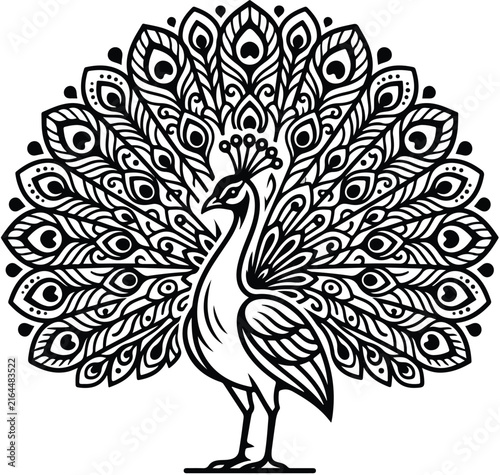 peacock
