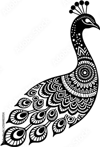 Black And White Peacock