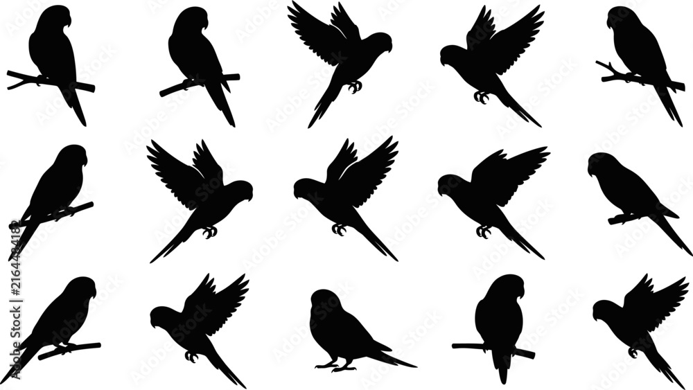 Fototapeta premium Black vector silhouettes depicting parrots in various flying and perching poses isolated on a clean white background for creative design