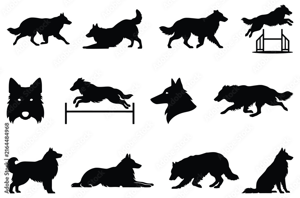 Obraz premium Croatian sheepdog vector silhouette collection isolated on white background