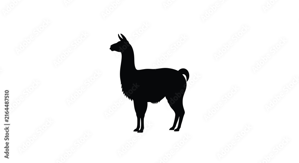 Naklejka premium Llama Silhouette Against A White Background Minimalist Animal Shape
