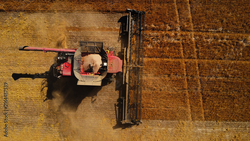 Fotografie Aerial Top-Down View of Combine Harvester Cutting Golden Field