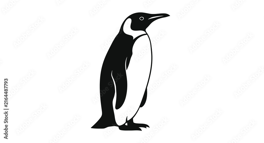 Fototapeta premium Gentoo penguin depiction in black and white silhouette