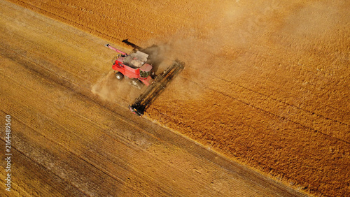 Foto Aerial Top-Down View of Combine Harvester Cutting Golden Field