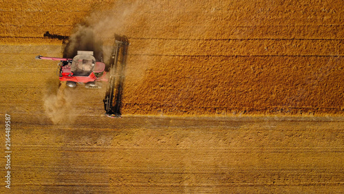 Canvastavla Aerial Top-Down View of Combine Harvester Cutting Golden Field