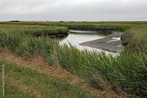 godel landschaft