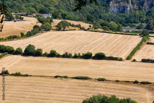 Parched yellow crop fields during summer drought, hedgerows dividing arable farmland with rural farmhouse nestled beneath wooded limestone cliffs