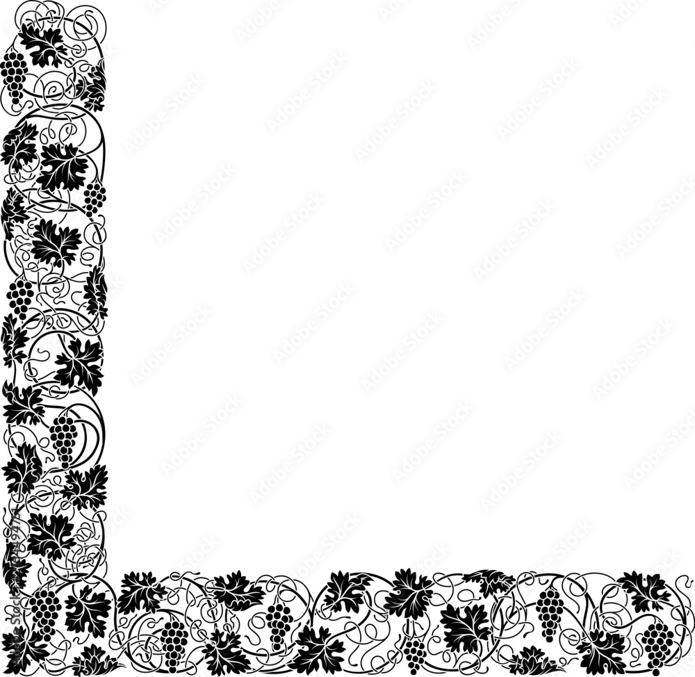 Fototapeta premium A grape vine or grapevine with vines leaves and grapes leaf corner border pattern. Wine concept drawing illustration in a vintage etching woodcut style.