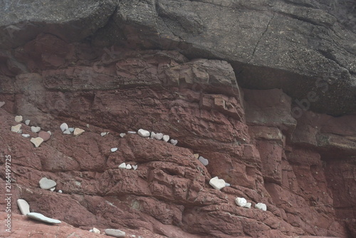Heart shape stones on the cliffs, Dunmore East Cliff Walk, Co. Wexford, Ireland