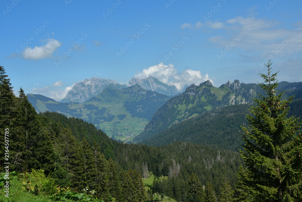 Fototapeta premium Schweiz Voralpen