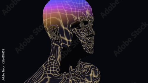 Thermal wireframe humanoid glows with rainbow gradient heat map shades in a meditative 3D animation ideal for biofeedback visuals and chillout dj sets