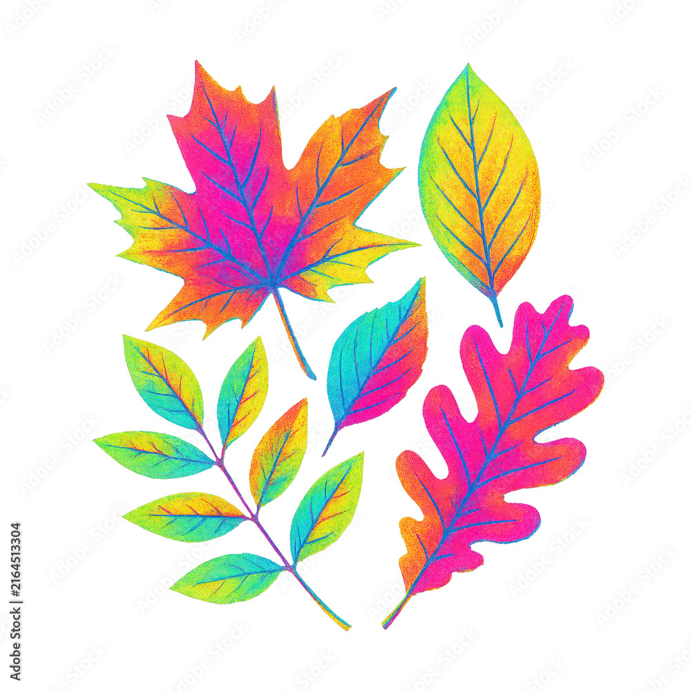 Fototapeta premium PNG Vibrant colorful autumn leaves illustration.