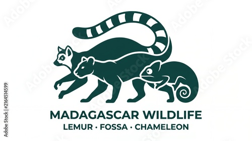 Madagascar Wildlife Illustration Featuring Lemur Fossa and Chameleon in Monochrome Style