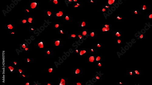 Rose Petals Fluttering Down, 3D Particle Animation with Alpha Channel