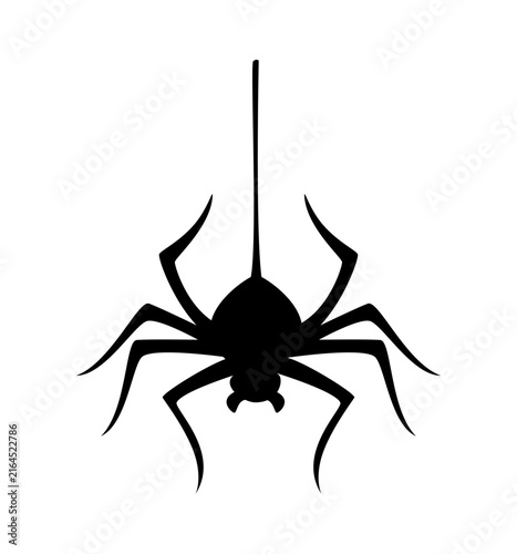 Foto Halloween spooky poisonous spider hanging on cobweb string silhouette
