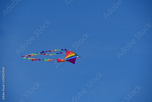 Kite flying in the sky