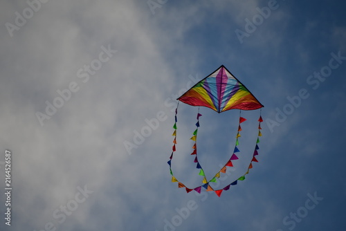 Kite flying in the sky