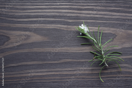 Sprig of fresh flowering Rosemary