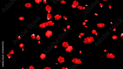 Falling Rose Flowers and petals Particle Animation, 3D Loop with Alpha Channel