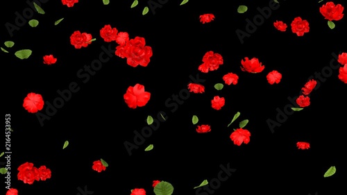 Falling Rose Flowers and Leaves Particle Animation, 3D Loop with Alpha Channel