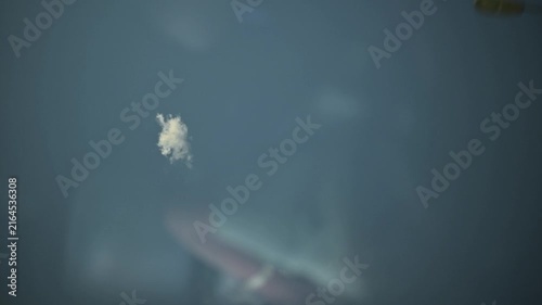 A small cloud in the blue sky as seen through the sunroof of a car