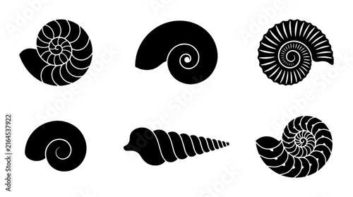 70 Black Seashell Vector Icons, Nautilus and Spiral Shell Silhouettes, Marine Life Symbols for Oceanography and Nature Design 100