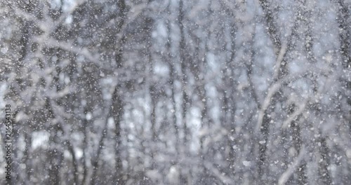 Winter landscape during snowfall. Winter Christmas abstract background on super slow motion.