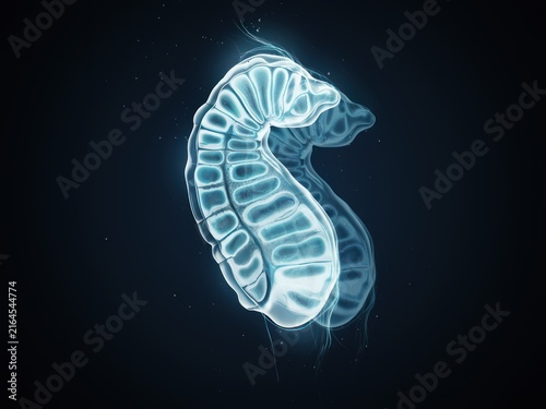 Abstract bioluminescent microscopic organism floating through dark deep sea water liquid environment digital illustration with translucent glowing microscopic