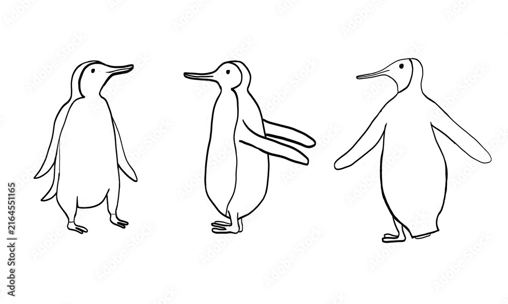 Obraz premium hand-drawn illustration of 3 penguin poses