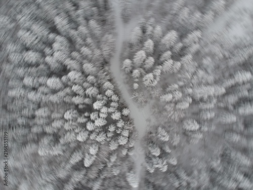 View from above of the fores full of snow in winter time. Carpathian Mountains, Romania