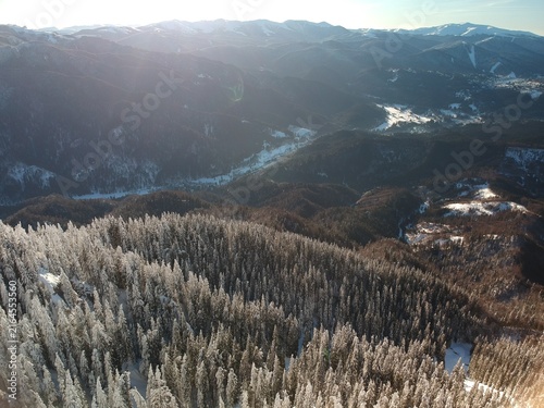 View from above of the fores full of snow in winter time. Carpathian Mountains, Romania