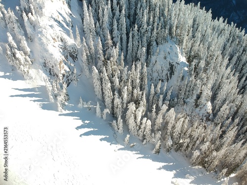 View from above of the fores full of snow in winter time. Carpathian Mountains, Romania
