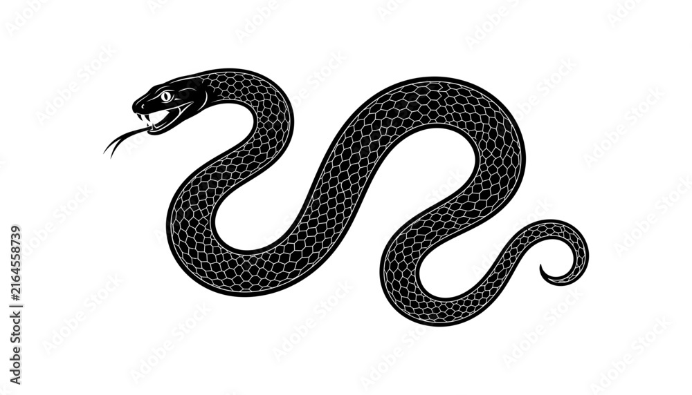 Obraz premium Black and white illustration of a coiled snake with scales and an open mouth showing fangs