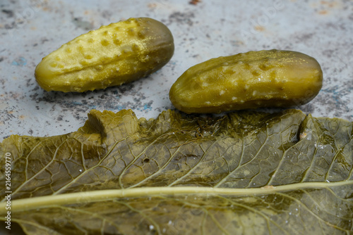 Fermented cucumbers with horseradish leaves close-up. Minimal. Copy space.