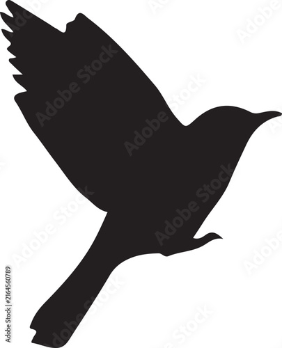 A black silhouette depicts a bird in flight with its wings spread
